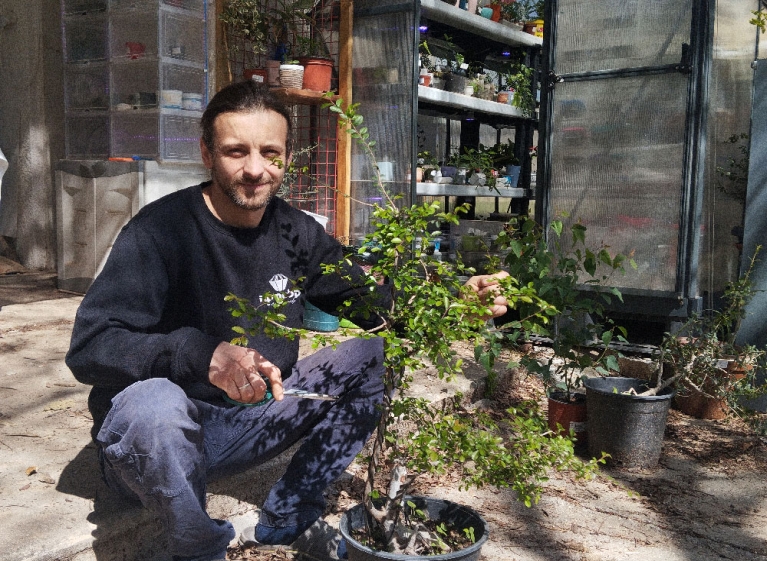 Stan, 738 bonsai e una passione nata nel cuore delle prove