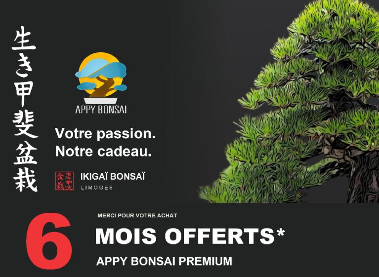 Ikigaï Bonsaï et Appy Bonsai collaborent pour accompagner les passionnés