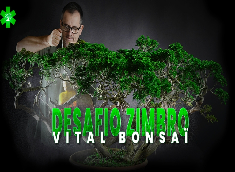 Participe do Desafio Juniperus com Vital Bonsai