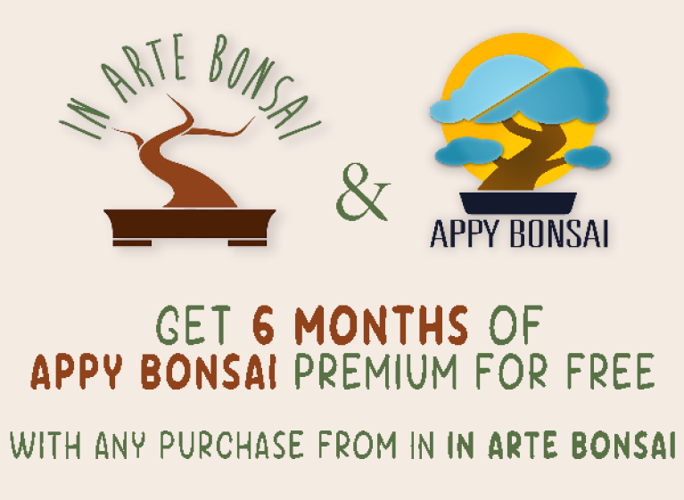 Appy Bonsai & IN ARTE BONSAI: A partnership that grows passion