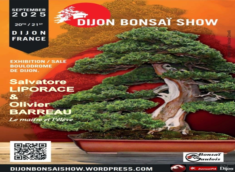 Appy Bonsai at the Dijon Bonsaï Show 2025