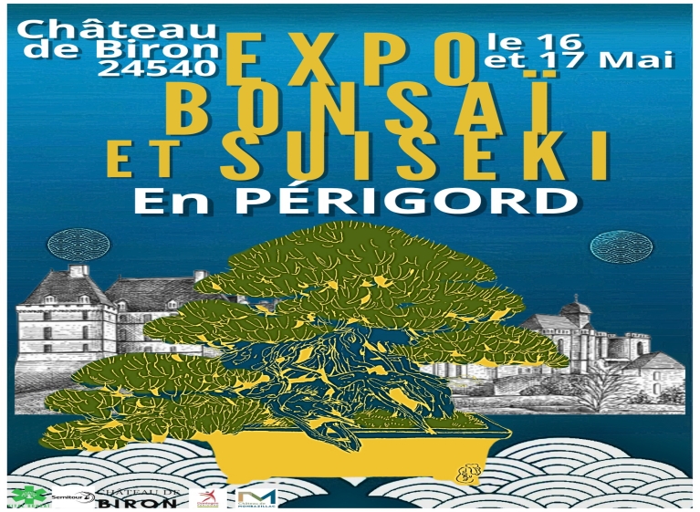 在比龙城堡，盆景在石中生根