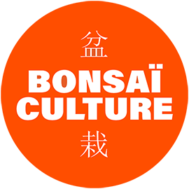 Bonsaï Culture