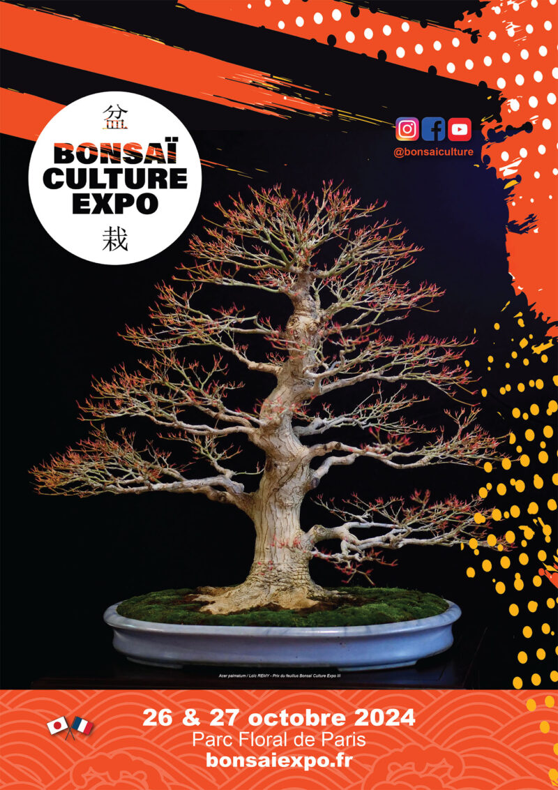 AFFICHE Bonsai Culture Expo 2024