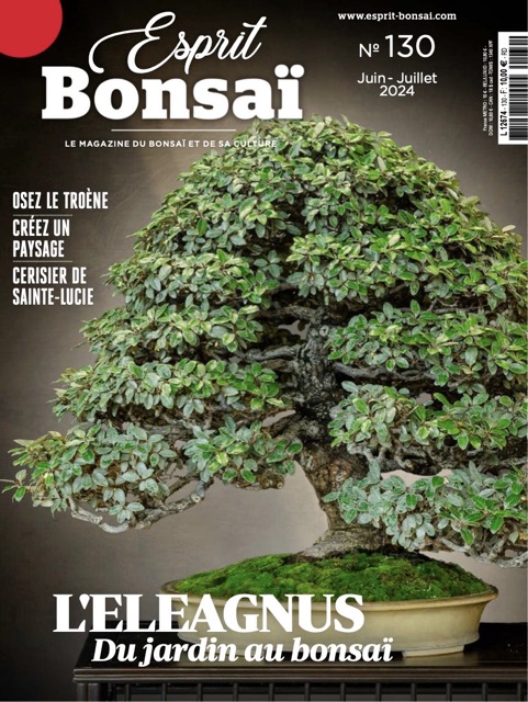 Esprit Bonsai 2024年6月7月号 中サイズ