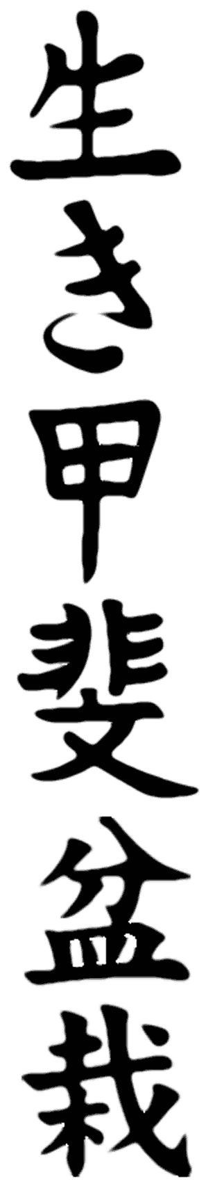 Ikigaï banner