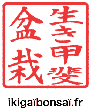 Ikigaï logo