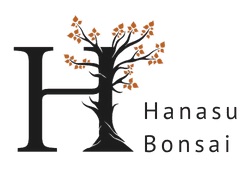 HANASU Bonsai