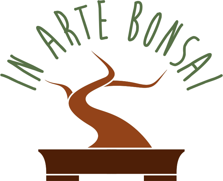 In Arte Bonsai